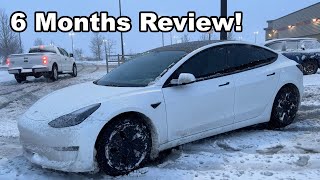 Tesla Model 3 Six Months Later Review I Regret Buying This Model 3 [upl. by Alyakcm]