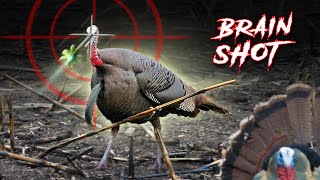 Pro Archer Makes Impossible Turkey Shot  Bowmar Bowhunting [upl. by Crellen309]