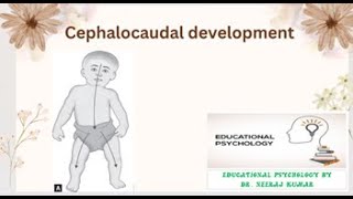 Cephalocaudal development drneerajkumar development growth learner principles [upl. by Submuloc12]