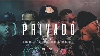 Privado Audio  Rvssian ft Arcangel Nicky Jam Farruko amp Konshens [upl. by Boony]