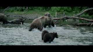 Terre des Ours  au cinéma le 26 février en 3D [upl. by Hewie703]