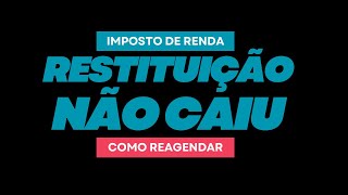 Restituição IRPF não caiu em Conta  O que Fazer Como Reagendar [upl. by Lladnyk]