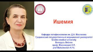 Ишемия Лекция Ischemia Lecture Professor Maksimovich NYe [upl. by Lenoel725]