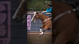 That headstall is fab😍 horse [upl. by Carl]