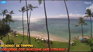 Maui Hawaii Live Webcam  Hawaii beach live webcam  Maui beach live cam audio [upl. by Schroth]