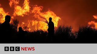 Thousands evacuated in Greece as wildfires approach Athens  BBC News [upl. by Jarrid]