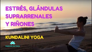 💙 KUNDALINI YOGA en español Serie para el estrés las glándulas suprarrenales y los riñones [upl. by Grete876]