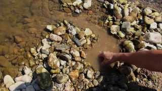 Survival Fish Trap using just one hand [upl. by Anidem]