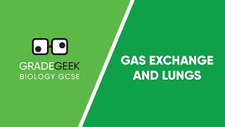 Understanding Gas Exchange and the Lungs  GCSE Biology Revision [upl. by Uttica]