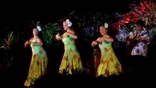 Danse hawaiienne 3 [upl. by Julio]