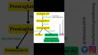 Action of Aspirin  Cyclooxygenase  Prostaglandins  Arachidonic acid  Biochemistry [upl. by Ecirtaed]