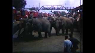 Ringling Brothers amp Barnum amp Bailey circus Hartford CT 1944 [upl. by Atonsah]