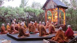 Pali Chanting In The Abhayagiri Buddhist Monastery  Theravada Buddhism [upl. by Brackely]