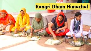 Himachali Kangri Dham 🥰  Traditional food Himachal marriage kangra [upl. by Rheims]