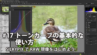 SILKYPIXでRAW現像をはじめよう 17 トーンカーブの基本的な使い方 [upl. by Neilla]