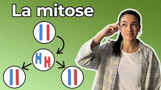 LA MITOSE  3ème Collège  Ton cours de SVT en moins de 5 minutes [upl. by Amorette]