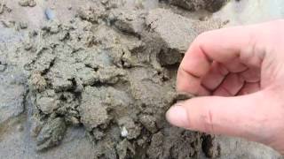 Metal Detecting With new Head Phones on Burnham Beach [upl. by Nnyllaf432]