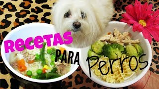 Receta CUELLO DE POLLO para mi PERRO COMIDAS CASERAS Coton de tulear I Lorentix [upl. by Wise]