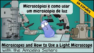 Microscopios y cómo usar un microscopio de luz [upl. by Orual]