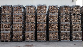 The process of massproducing 8000 tons of wood firewood per year No 1 firewood factory in Korea [upl. by Harod]