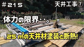 ≪週末DIYから始める移住への道≫ ＃215 25㎡の天井断熱材施工と塗装で‥アラフィフの体力が限界を迎えました。 天井工事７ アラフィフ開拓≫ [upl. by Nonnek665]