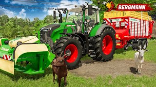 LS22 Neue Tiere und RealismusMods für den Hof  Hof Bergmann 4  LANDWIRTSCHAFTS SIMULATOR 22 [upl. by Kyriako]