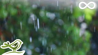 Relaxing Music amp Soft Rain Sounds  Peaceful Piano Music for Sleep amp Relaxation [upl. by Hadleigh]