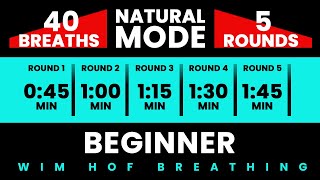 Beginner Wim Hof Guided Breathing  5 Rounds  40 Breaths  Pure Breathwork No Frequencies [upl. by Kersten]