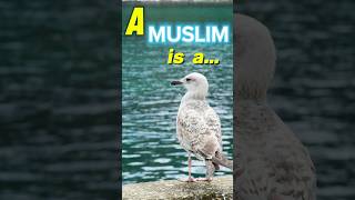 hadith of prophet muhammad pbuh in english  Nasheed Recited by Egzon Ibrahimi [upl. by Lerrud892]