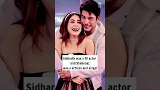 Shehnaaz Gill And Sidharth Shukla Love Story 🥀😘 shorts lovestory love shiv Shivcreatefacts [upl. by Laux]