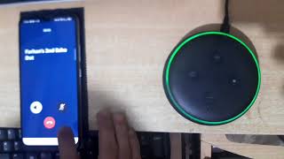 How to Call From Alexa Echo Dot Hindi [upl. by Sloane]