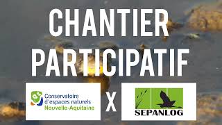 Chantier participatif  recréer des habitats favorables au Sonneur à ventre jaune [upl. by Ahse]