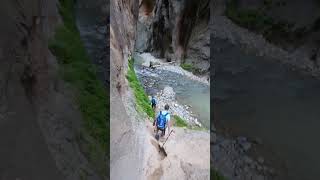 Exploring The Narrows Zions Iconic Hike zionnationalpark hikingadventure water hiking [upl. by Yboj]