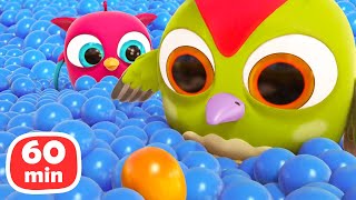 Baby cartoons Full episodes cartoon amp Hop Hop the Owl 1Hour cartoon for kids [upl. by Jeggar]