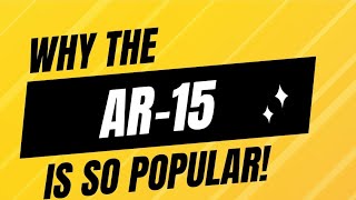 The surprising truth about the AR15 militarycapability ar15pistol [upl. by Beeson133]