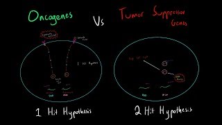 Cancer Oncogenes vs Tumor Suppressor Genes 1Hit vs 2Hit Hypothesis EVERYTHING NEED TO KNOW MCAT [upl. by Catto741]