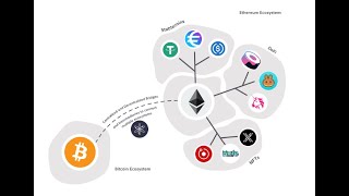 What is Crypto Ecosystem [upl. by Ariella396]