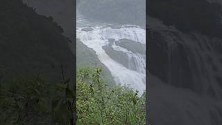 Mallalli Falls Coorg waterfalls Mallalli coorg waterfalls travel naturelovers telugushorts [upl. by Bruning249]