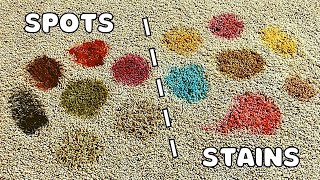 How to Remove Any Carpet Spot or Stain in Two Steps or Less [upl. by Hiram101]