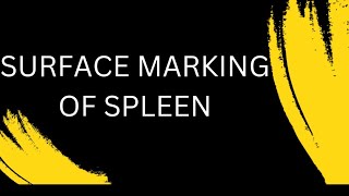 Surface marking of spleen [upl. by Graves]