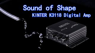 KINTER K3118 Mini Digital Power Amplifier [upl. by Bumgardner]