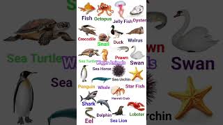 Water Animals Sea Animals seaanimals learn viralshorts [upl. by Leilani]