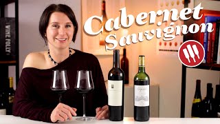 Explore The Styles of Cabernet Sauvignon  Wine Folly [upl. by Nesnaj]