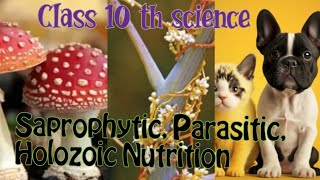 Saprophytic Parasitic Holozoic Nutrition life processes class 10 th science biologyvideo [upl. by Kal]