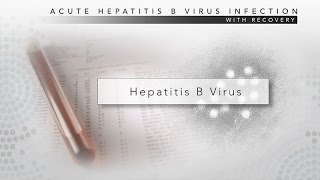 Hepatitis B CDC Viral Hepatitis Serology Training [upl. by Anialeh679]