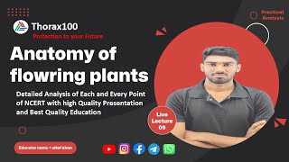 Anatomy of flowering plants Lecture 09 for Class 11 amp NEET Thorax100 [upl. by Weiman881]