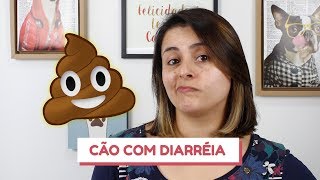 O que fazer quando o cão está com diarréia [upl. by Ephrem164]