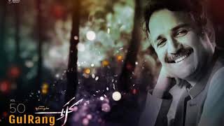 Haroon bacha new song 2018 را جامونه لیونی [upl. by Latoye819]