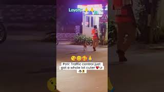 World best loyal animals ❤️🤩funny rahulpets funnypets doglover shortsfeed [upl. by Miguela]