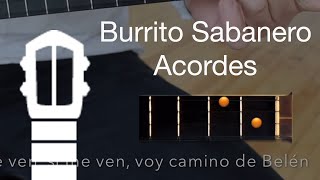 Burrito Sabanero  Canta con el Cuatro [upl. by Anbul746]